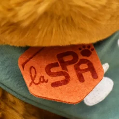 Histoire d'Ours Collection X Spa^Chien en Peluche Beige 16 cm - SPA Collection