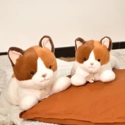 Histoire d'Ours Les Chiens & Les Chats^Peluche Chat allongee - Les P'tits Relax - 22 cm