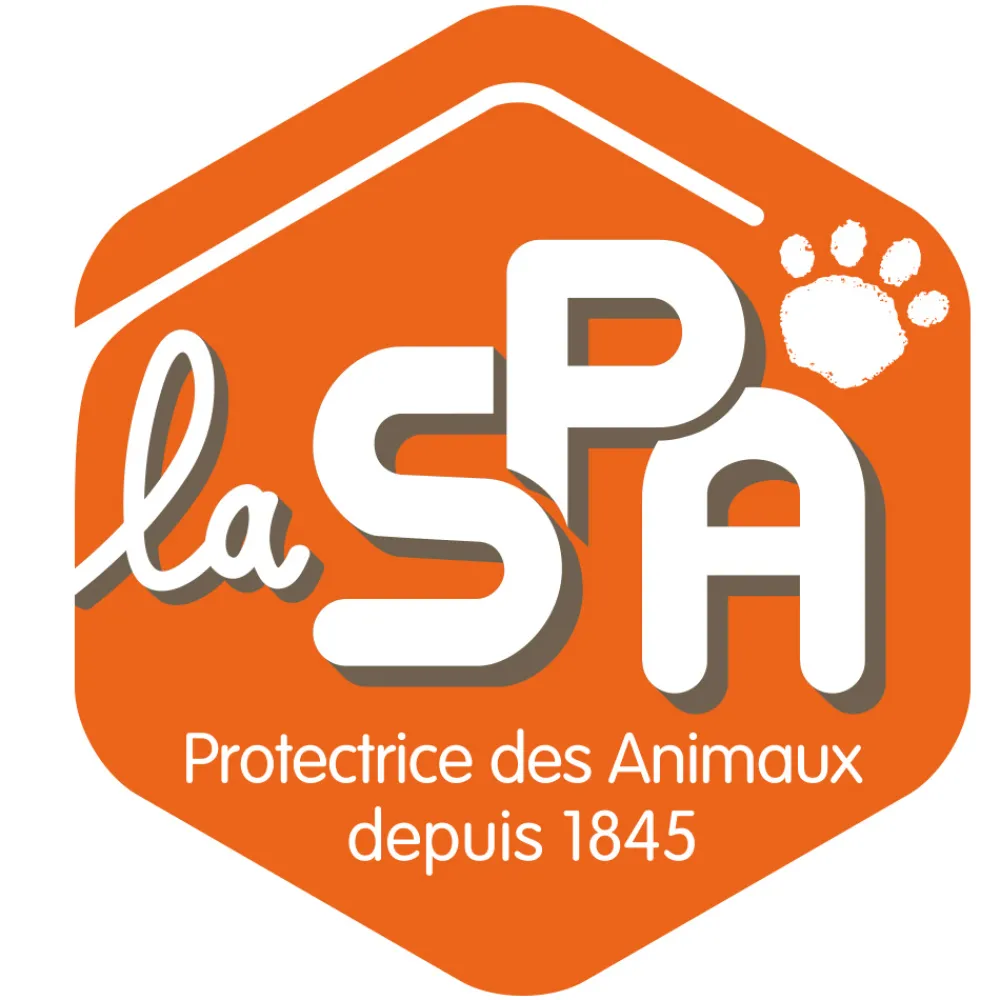 Histoire d'Ours Collection X Spa^Peluche lapin 16 cm - SPA Collection