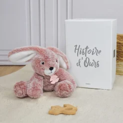 Histoire d'Ours Les Lapins|Les Sweety Mousse^Peluche Lapin - 25 cm