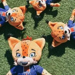 Histoire d'Ours Collection X Psg^Peluche officielle PSG Mascotte Germain Le Lynx - 25 cm