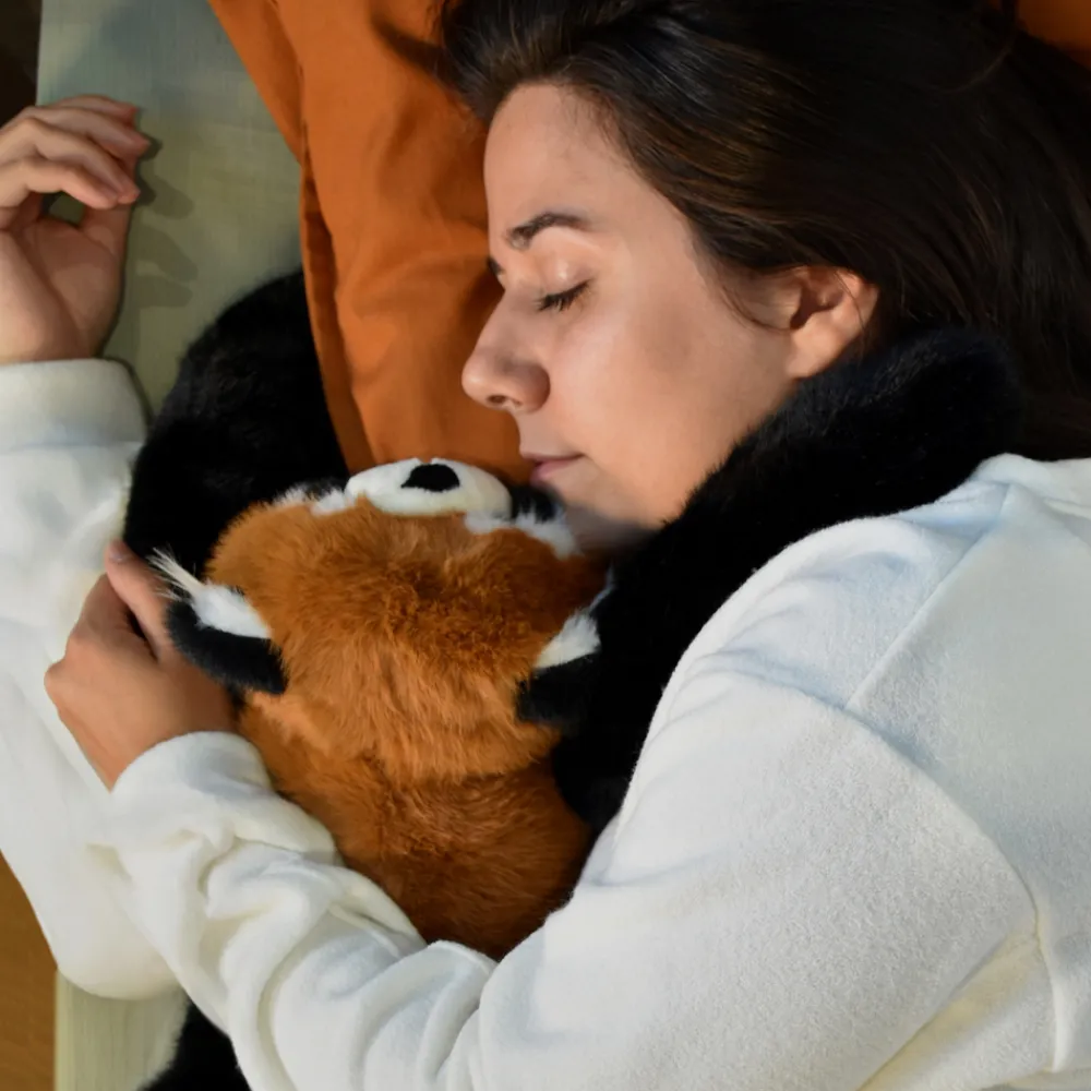 Histoire d'Ours Peluches Bien-Être|Dans La Forêt Tropicale^Peluche panda roux lesté - 40 cm - Podcoll