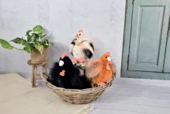 Histoire d'Ours Autres Animaux De La Ferme^Peluche poule 